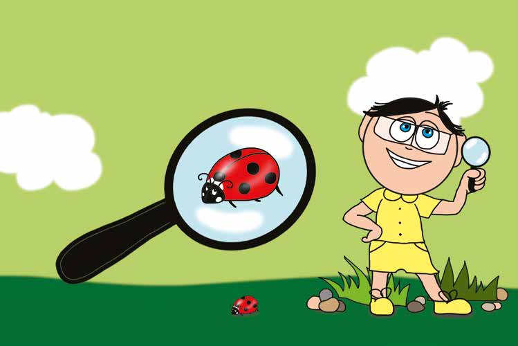 Tamás és a darázs – Tamás a katicát vizsgálja – online puzzle jelenet