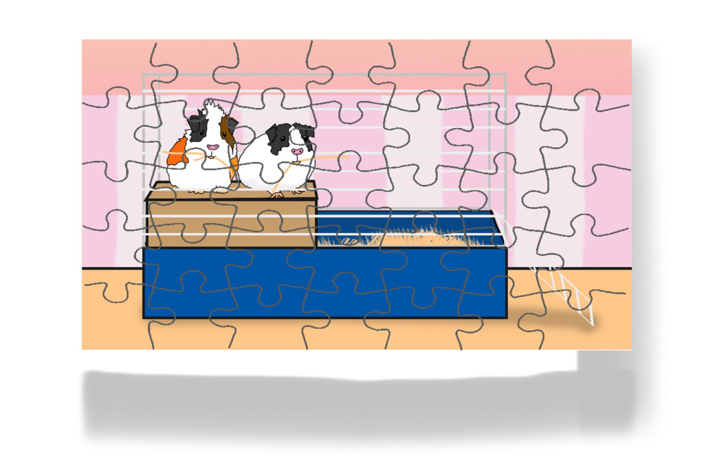 Bubi és Pufi visszatérnek a ketrecbe – Dolly és a takarítás puzzle, 35 darab [TC49-34-P35]